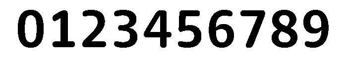 Chidori Variable Bold Font OTHER CHARS