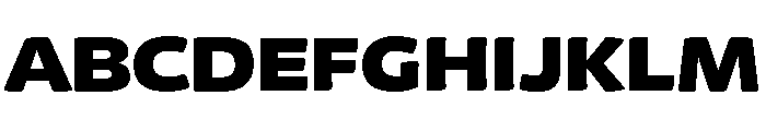 Chidori Wide Black Font UPPERCASE