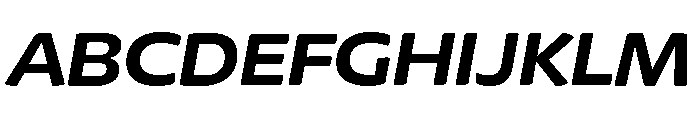Chidori Wide Bold Italic Font UPPERCASE