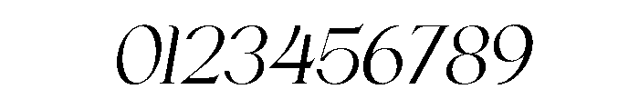 Chairo Italic Font OTHER CHARS
