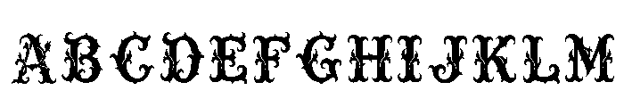 Characin Regular FONT
