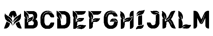 Charis Regular FONT