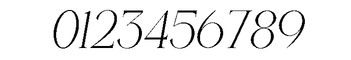 Charnoir Italic Font OTHER CHARS