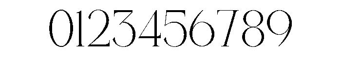 Charnoir Regular Font OTHER CHARS