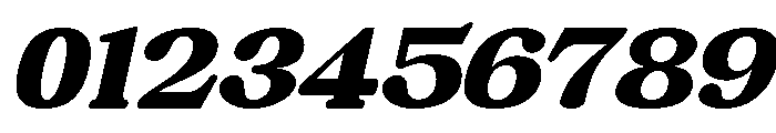 Chigora Display Expanded Italic Font OTHER CHARS
