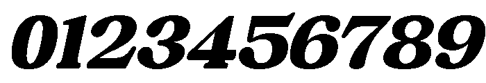 Chigora Display Italic Font OTHER CHARS