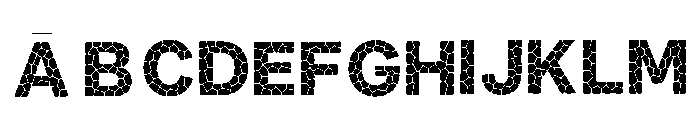 Choir Regular FONT