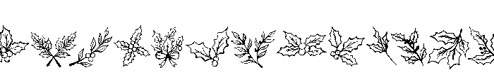 Christmas Botanical Line Art Bundle FONT