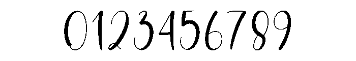 Christmas Wildflower Font OTHER CHARS