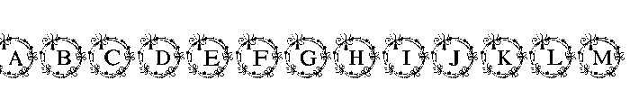 Christmas ornaments frame FONT