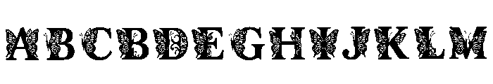 Christoper Regular FONT