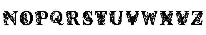 Christoper Regular Font LOWERCASE