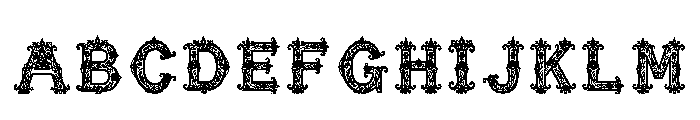 Chub Regular FONT