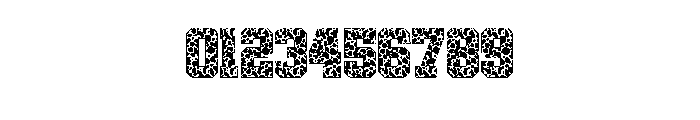 cheetah pattern Font OTHER CHARS