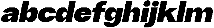 Chairo Neue Black Italic otf (900) FONT