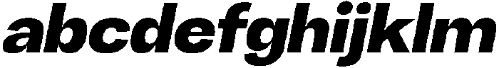 Chairo Neue Extra Bold Italic otf (700) FONT