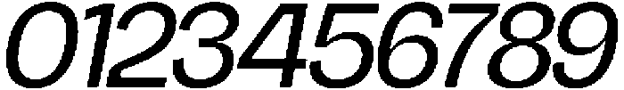 Chairo Neue Italic otf (400) Font OTHER CHARS