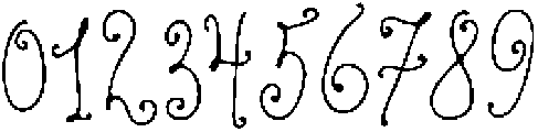 Charm Flora Regular otf (400) Font OTHER CHARS