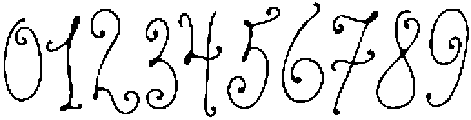 Charm Flora Thin Regular otf (100) Font OTHER CHARS