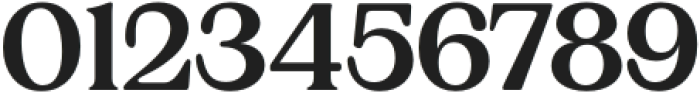 Charman Serif Medium otf (500) Font OTHER CHARS