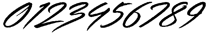 Chase Regular otf (400) Font OTHER CHARS