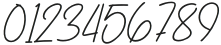 ChekovSignature otf (400) Font OTHER CHARS