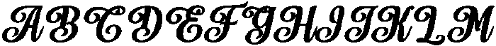 Chocolate Strawberry Bold Slant 12 Regular otf (700) Font UPPERCASE