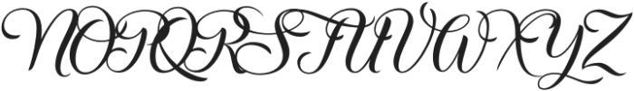 Christmas Wish Calligraphy otf (400) Font UPPERCASE