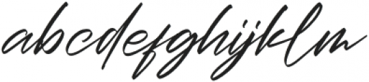 Christopher Signature Italic otf (400) Font LOWERCASE