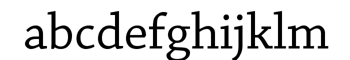 ChaparralPro-Regular Font LOWERCASE