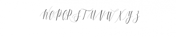 Charlotte Calligraphy Font UPPERCASE