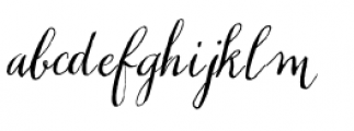 Chameleon Pen Italic Font LOWERCASE