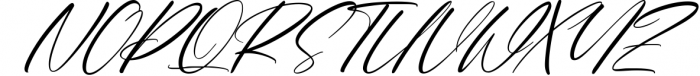 Charlotte Matthew Signature Script Font Font UPPERCASE