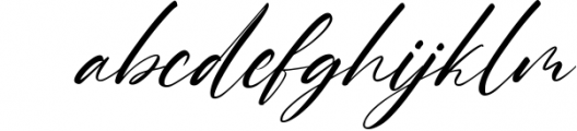 Charlotte Matthew Signature Script Font Font LOWERCASE
