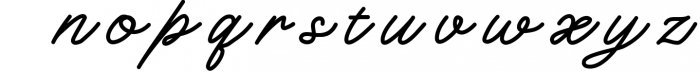 Charlotte Script Typeface Font LOWERCASE