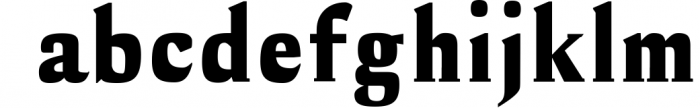 Cheston Slab Serif 5 Font Family 1 Font LOWERCASE