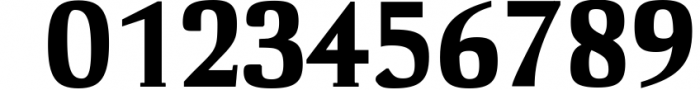 Cheston Slab Serif 5 Font Family 2 Font OTHER CHARS