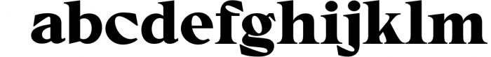 Chevalon - A Versatile Serif Fonts Family 5 Font LOWERCASE