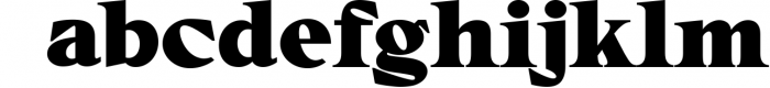 Chevalon - A Versatile Serif Fonts Family 6 Font LOWERCASE