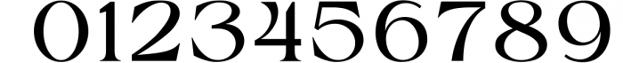 Chevalon - A Versatile Serif Fonts Family Font OTHER CHARS
