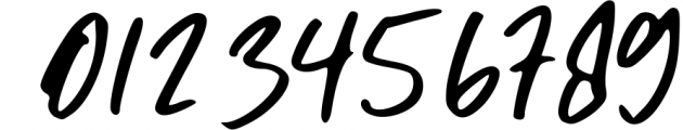Christian Heedlay - Brush Signature Font 1 Font OTHER CHARS