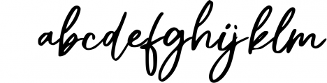 Christian Heedlay - Brush Signature Font 1 Font LOWERCASE