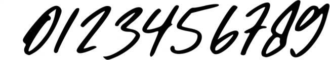 Christian Heedlay - Brush Signature Font Font OTHER CHARS
