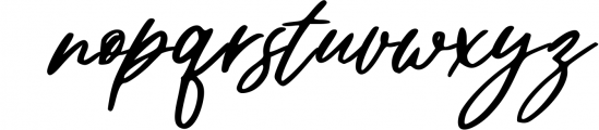 Christian Heedlay - Brush Signature Font Font LOWERCASE
