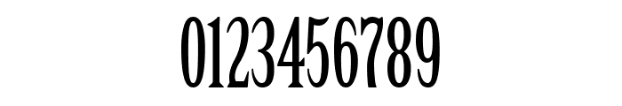 CheGuevara Text Serif Font OTHER CHARS