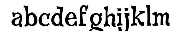 CheGuevara Wacky Medium Font LOWERCASE