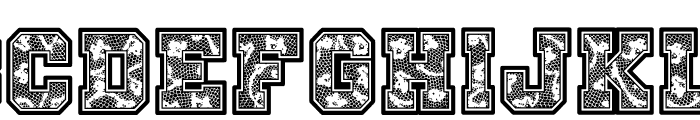 Cheer Lace Leader Font UPPERCASE