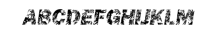 ChronicGothic Font LOWERCASE