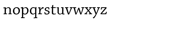 Chaparral Subhead Font LOWERCASE