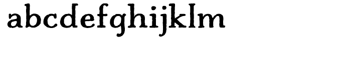 Charcuterie Serif Bold Font LOWERCASE